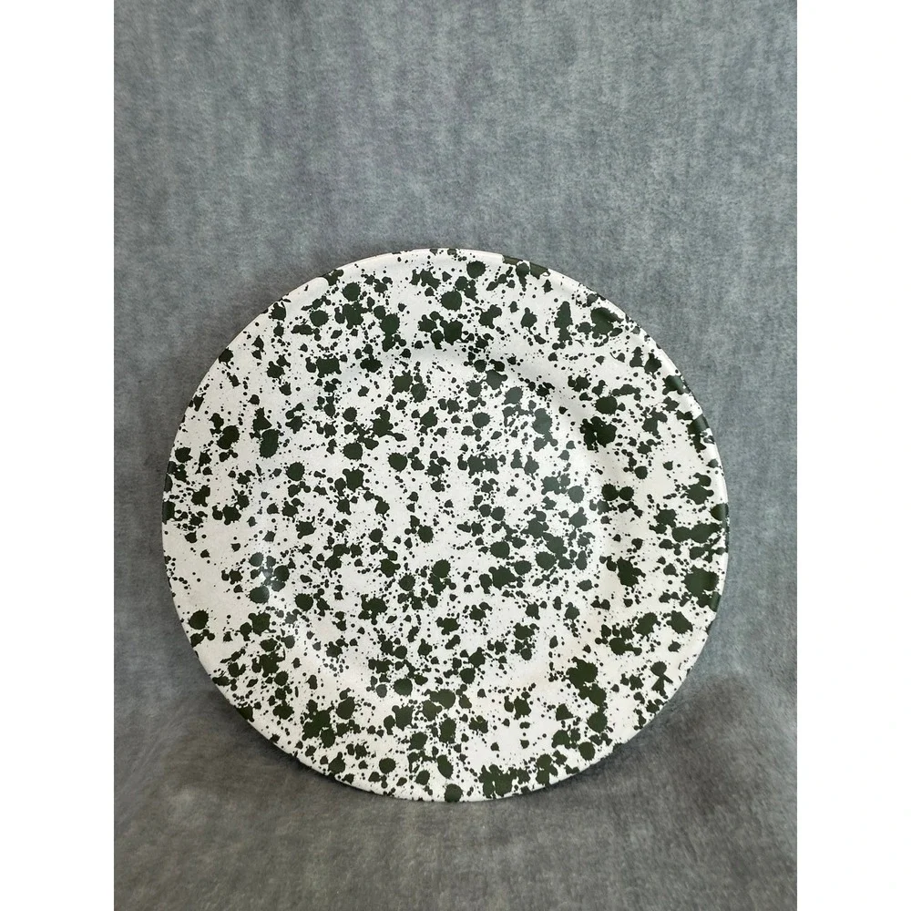 Bee & Willow‎ Melamine Splatter Plate Set White Green Dinnerware 10.5